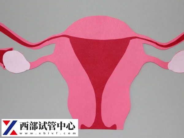 当FSH数值高于10通常表明卵巢储备功能下降