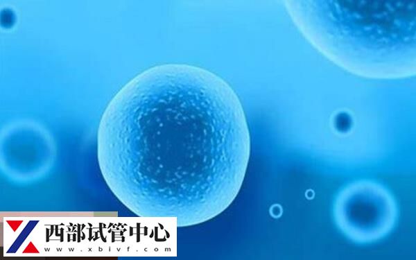 囊胚解冻移植流程及费用分享,另附移植注意事项参考(图2) 解冻囊胚收费约3000元不等