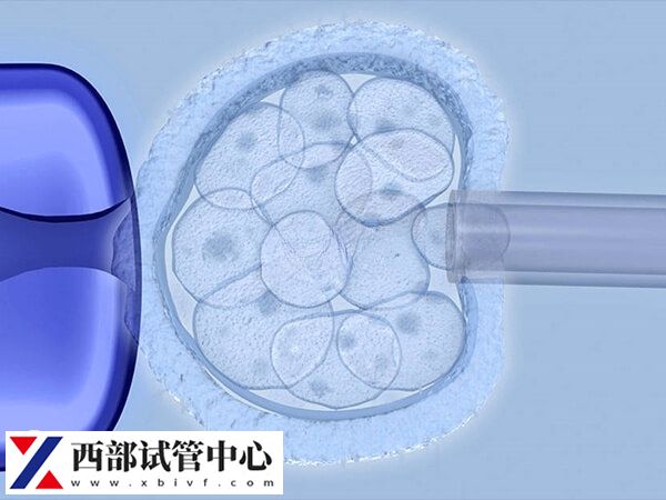 三级胚胎养囊好还是冷冻好快瞧,对比好处和风险就知(图1) 三级胚胎也有可能发育成<a href=https://www.nzzt.cn/topic/143.html target=_blank class=infotextkey>囊胚</a>