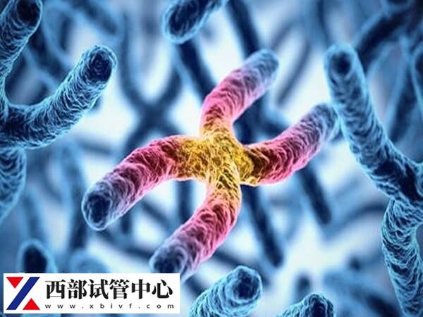 平衡易位可能会导致无精症