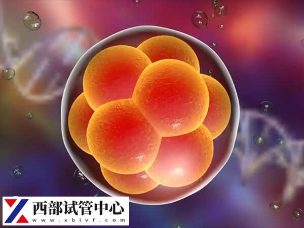 胚胎质量一般移植后会不会发育得好(图1) 胚胎质量一般也可以进行移植